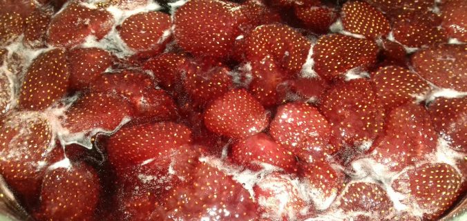 Γλυκό φράουλα - ηχωμαγειρέματα - 1